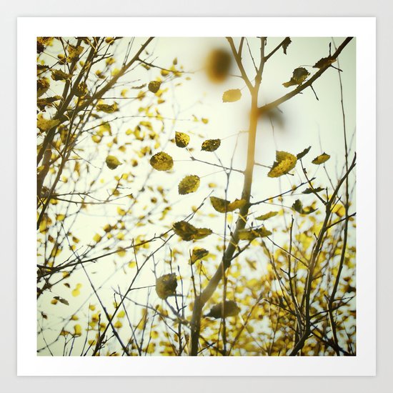 Catching the Fall Art Print