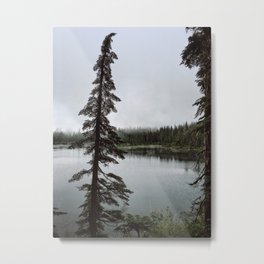 Strathcona Provincial Park Metal Print