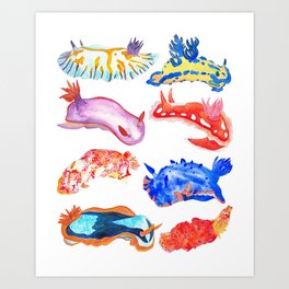 Nudibranch Art Print