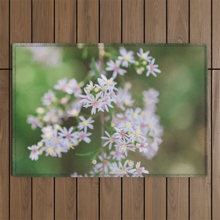 Dainty Florals - Purple Asters Photography Outdoor Rug