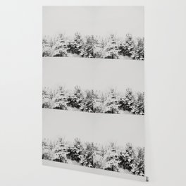 Winter Grey Wallpaper