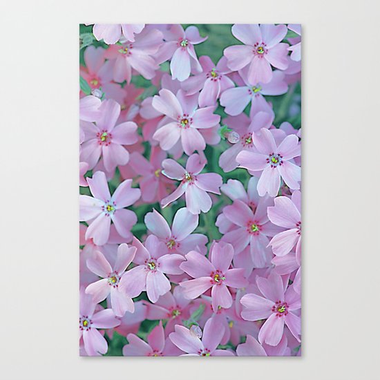 Flower Carpet(63) Canvas Print