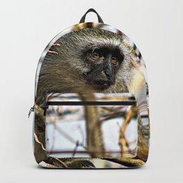 Cute Velvet Monkey on Tree Backpack | Photo, One, Monkeys, Wild, Wildlife, Safari, African, Savanna, Vervetmonkey, Cute 