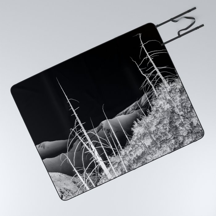 Range picnic blanket 2025