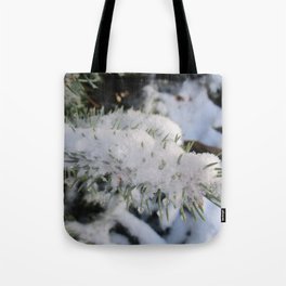 Winter Pine Tree Tote Bag