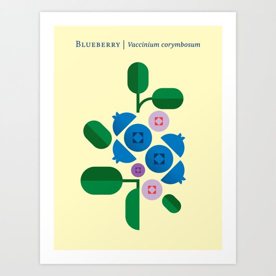 Fruit: Blueberry Art Print