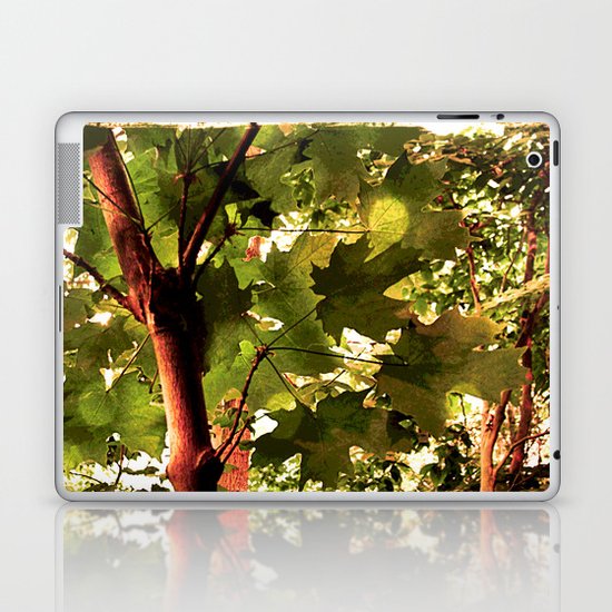 Maple Laptop & iPad Skin