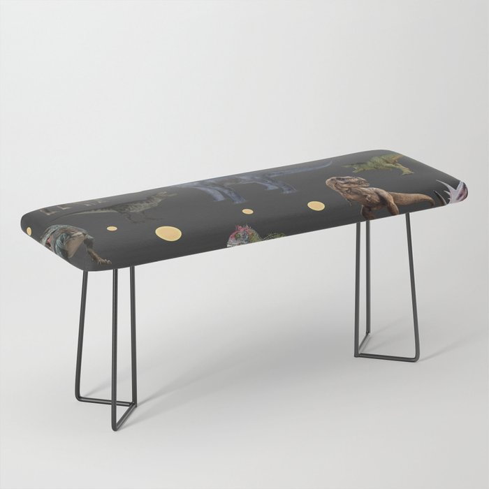 65 MCMLXV Prehistoric Dinosaurs Pattern Bench