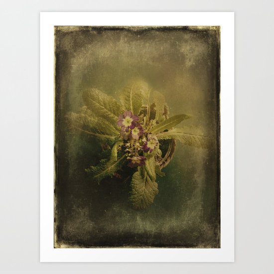 Little Winter Flower Art Print