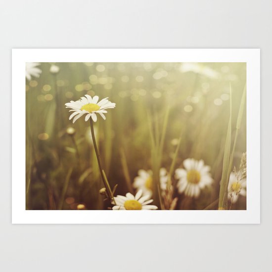 A Daisy Day Art Print
