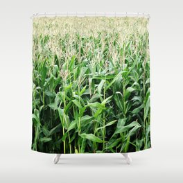 Corn -  Maize -  Crop -  Grow -  Agriculture -  Grain -  Food - Vintage illustration. Retro décor. Shower Curtain