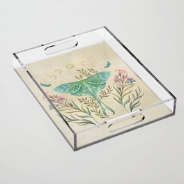 Luna and Forester - Oriental Vintage Acrylic Tray
