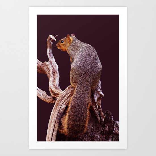 A Little Bit Squirrely Art Print