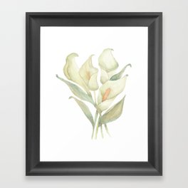 Lily Calla in watercolour Framed Art Print