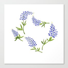 Texas Bluebonnets // Texas State Flower Outline Canvas Print