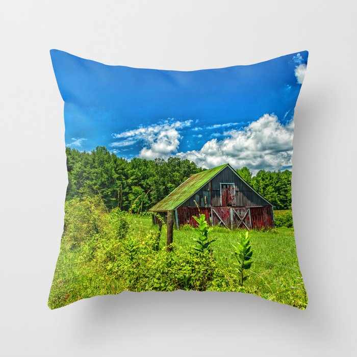 Morning Dew Lane, Virginia Throw Pillow