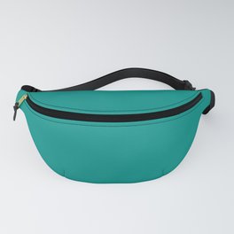 Unrestrained Tranquility Green Blue Solid Color Pairs To Sherwin Williams Nifty Turquoise SW 6941 Fanny Pack