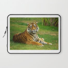 Portrait of a tiger in the nature Laptop Sleeve