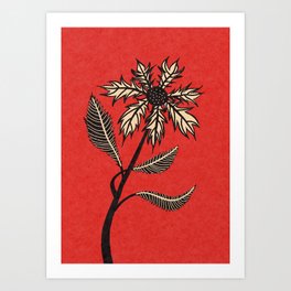 Imaginary Gothic Flower Ink Drawing Black And White On Red Art Print