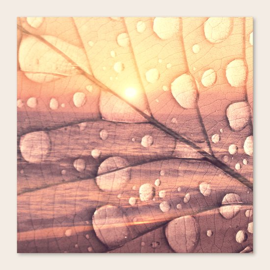 Everything Canvas Print