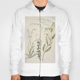 Antique plant Veronica drawn by Sarah Featon (1848-1927) Hoody