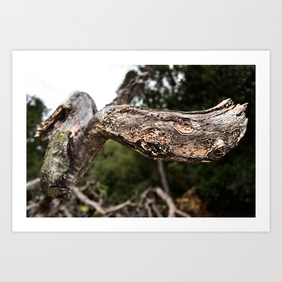 Snakehead Art Print