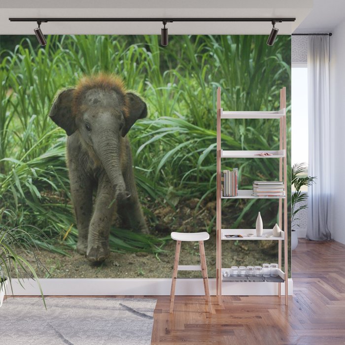 Elephant and Grass Wall Mural