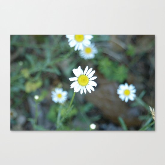 Remember Summer? Canvas Print