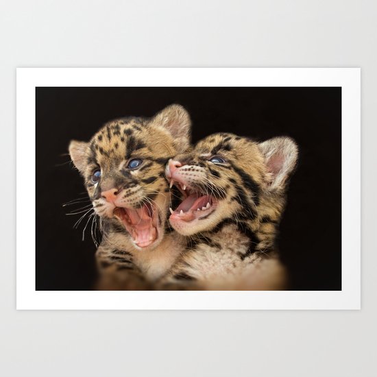 CLOUDED LEOPARD CUBS LOVE Art Print