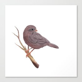 little bird brown colors on the branch, digital painting Canvas Print