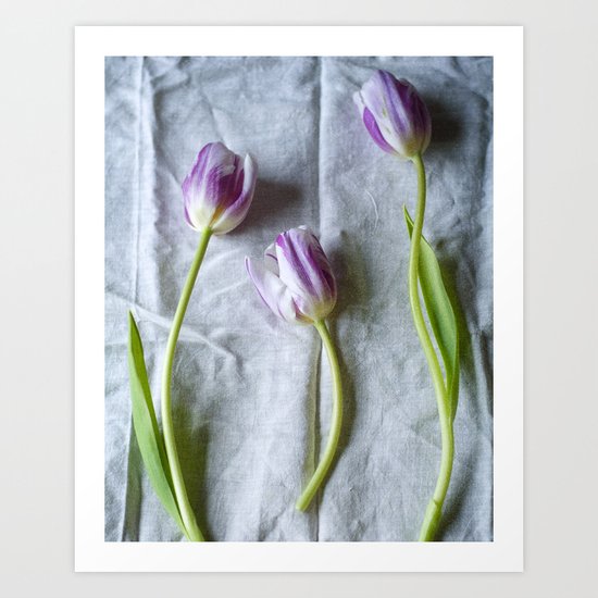 tulips Art Print