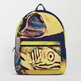 Blue and gold macaw staring. Backpack