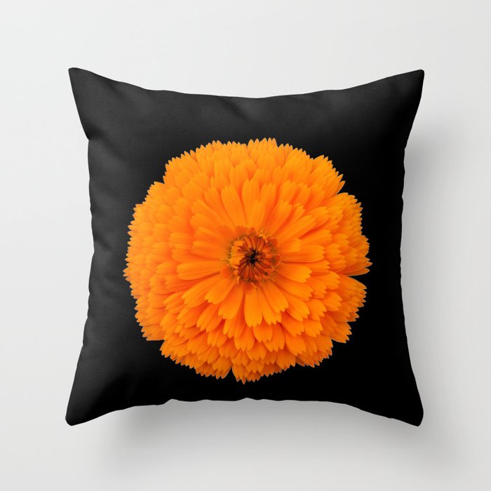 Marigold Flower On Black Background Throw Pillow By Spetenfia Society6