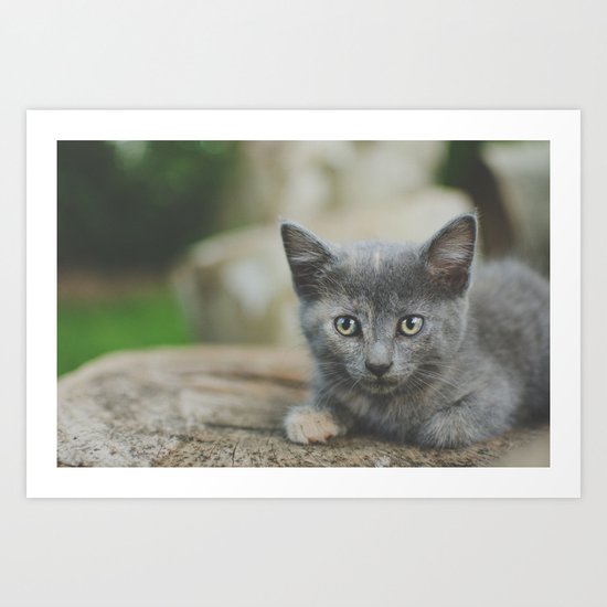 Cat Art Print
