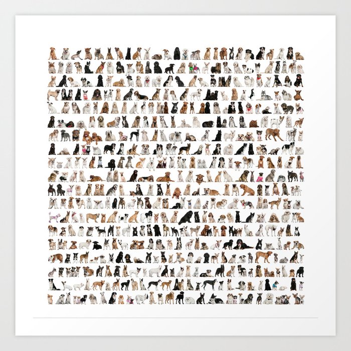 Dogs, Dogs and dogs Art Print