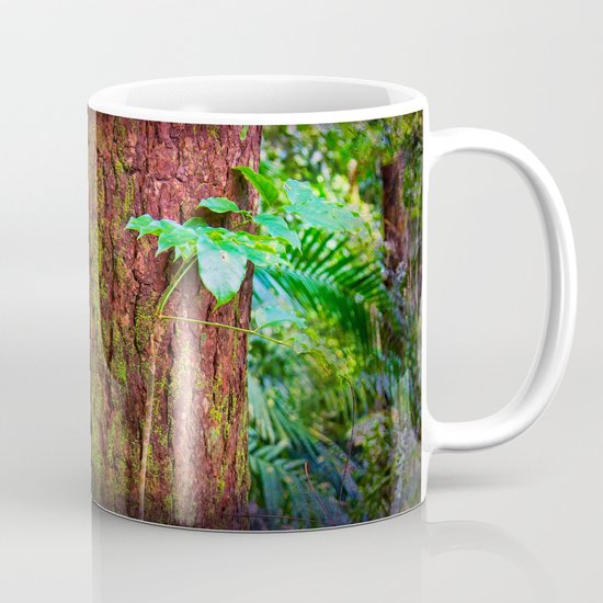 New and old rainforest growth Mug