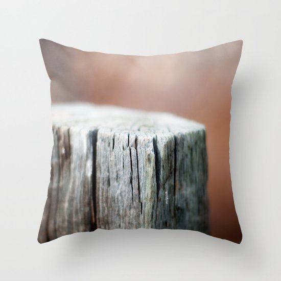 Fence Post Throw Pillow