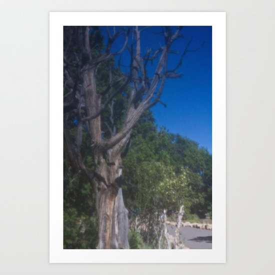 Grand Canyon Tree Art Print