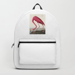 American Flamingo - John James Audubon Backpack | Audubon, Poster, Wallart, Homedecor, Watercolor, American, Colorfull, Digital, Ink, Abstract 