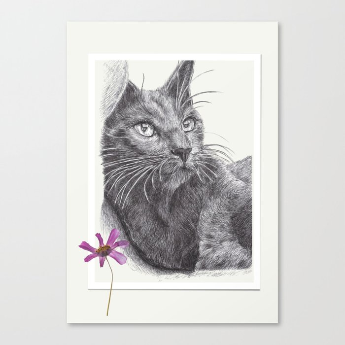 Cat with the flower Canvas Print