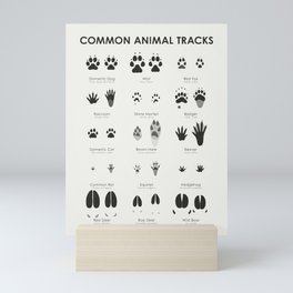 Animal Tracks (Hidden Tracks) Identification Chart Mini Art Print