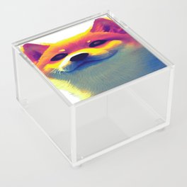 Rainbow pup Acrylic Box