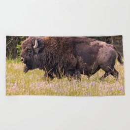 Wildlife Photography Buffalo Yellowstone National Park Wyoming Nature Beach Towel