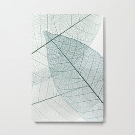 Teal Green Skeleton Leaf, Modern Minimalist Botanical Art Metal Print