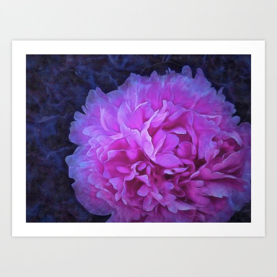 Pink peony Art Print