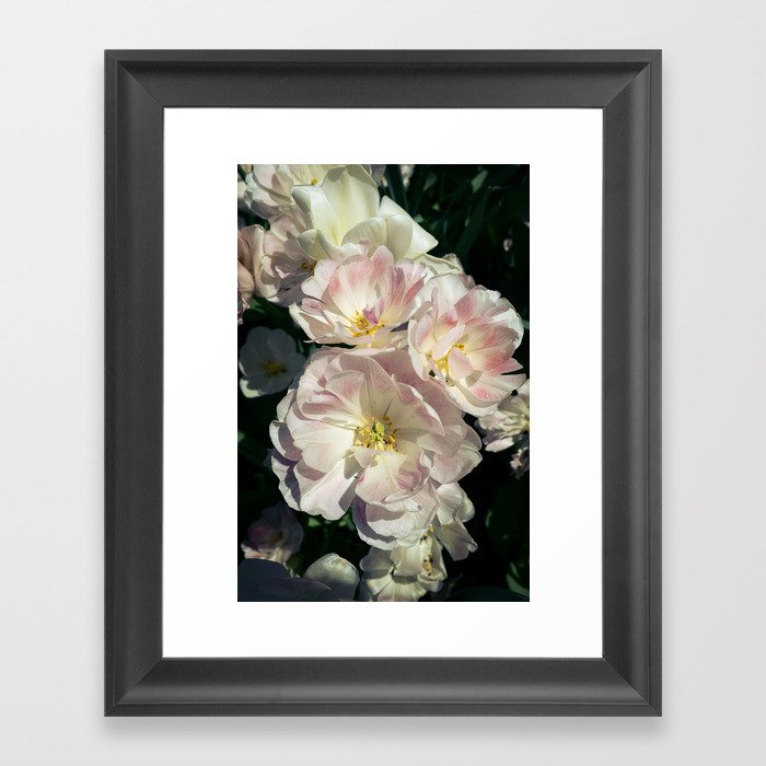 Fleur V Framed Art Print