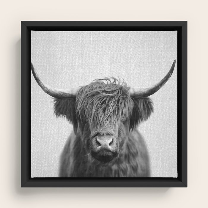 Framed Canvas