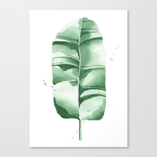 Banana Leaf no.8 Canvas Print