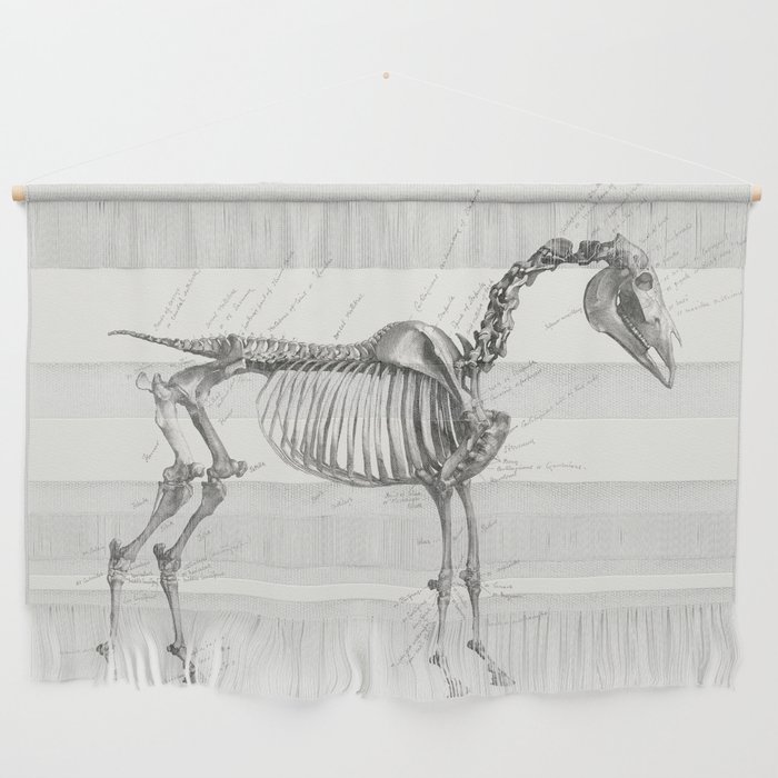 The Anatomy of the Horse Wall Hanging