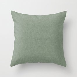 solid woven - sage Throw Pillow